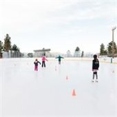 Skating Lesson Photo