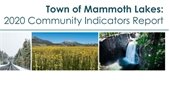 2020 Community Indicators Report