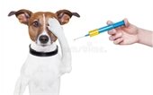 Pet Vaccination Clinic