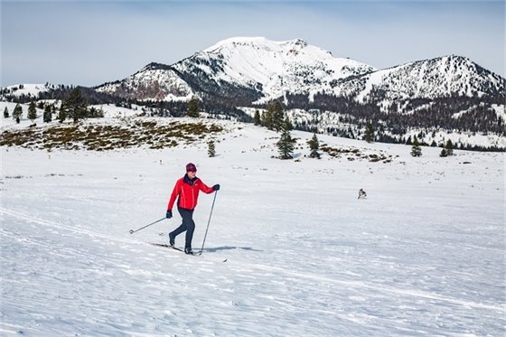 Winter Fitness Challenge