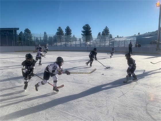 Youth hockey players in action