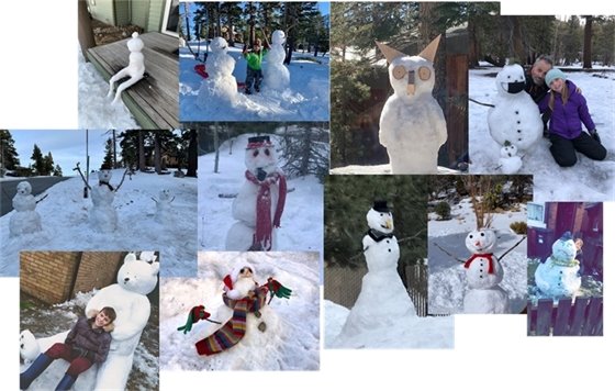 Snowman Competition Entries