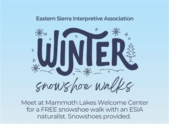 Winter Snowshoe Walks