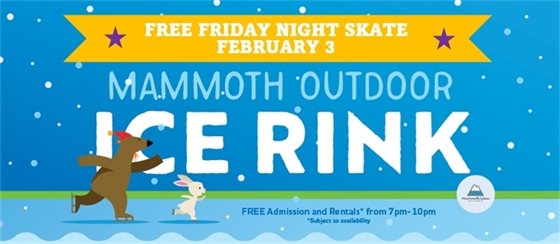 FREE Friday Night Skate!
