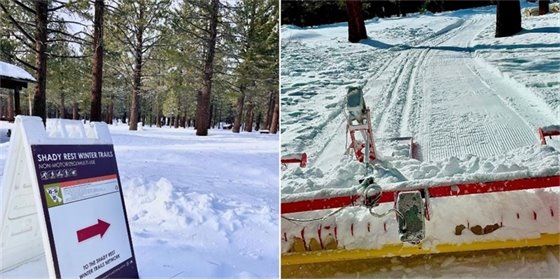 Nordic grooming is underway!