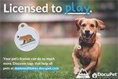 License your Dog