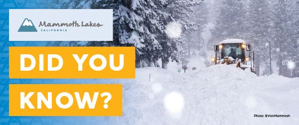 TOML_DYK_website_600x251_101JAN