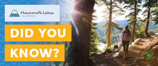 TOML_DYK_website_600x251_August_FINAL