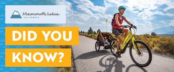 TOML_DYK_website_600x251_July_FINAL