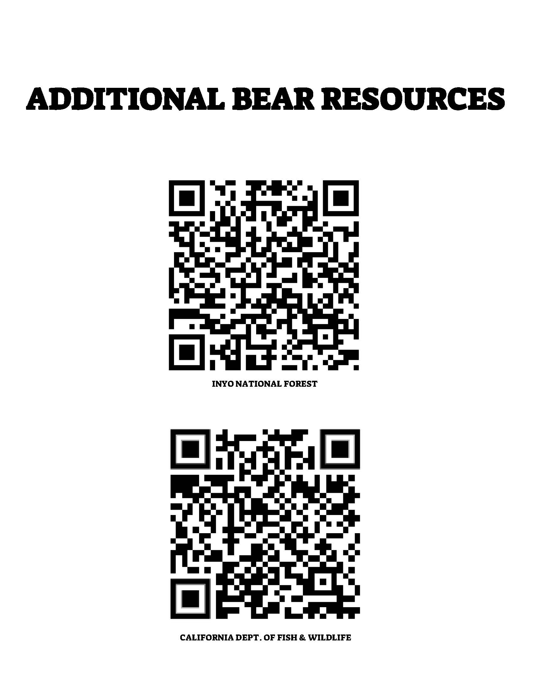 Bear_Aware_IMage2