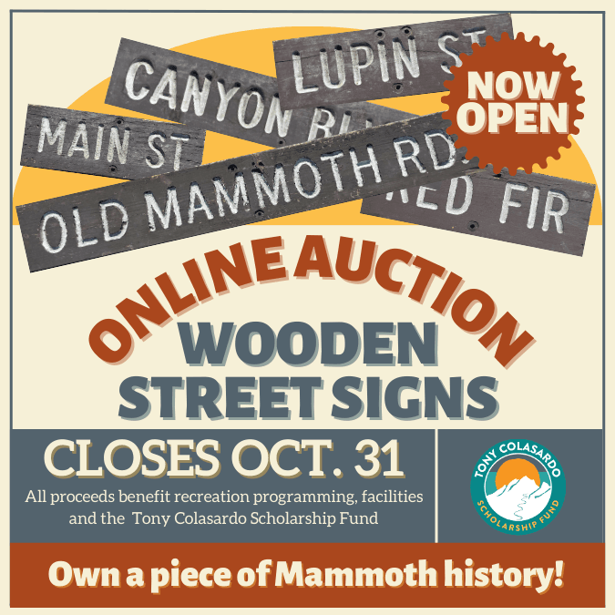 Street Signs Online Auction - New Flash Image