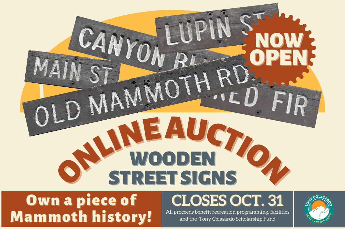 RTW Street Signs Online Auction (395 x 263 px)