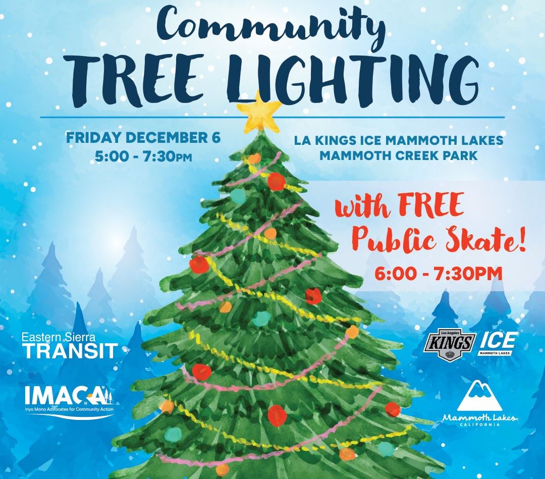TOML_Tree_Lighting_NewsFlash