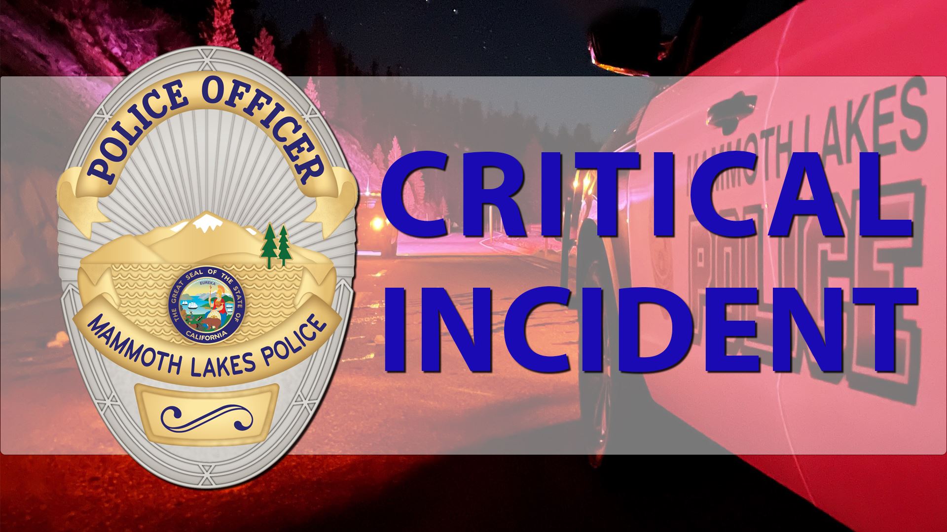 CriticalIncidentMLPDGraphic_SocialMedia